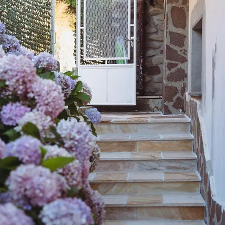 La Casa Di Luisa Moneglia